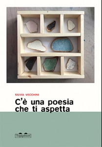 C'E' UNA POESIA CHE TI ASPETTA. PENSIERI E PRATICHE PER SCRIVERE INSIEME